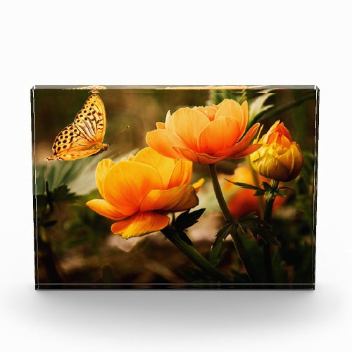Flowers and Butterfly Photo Block