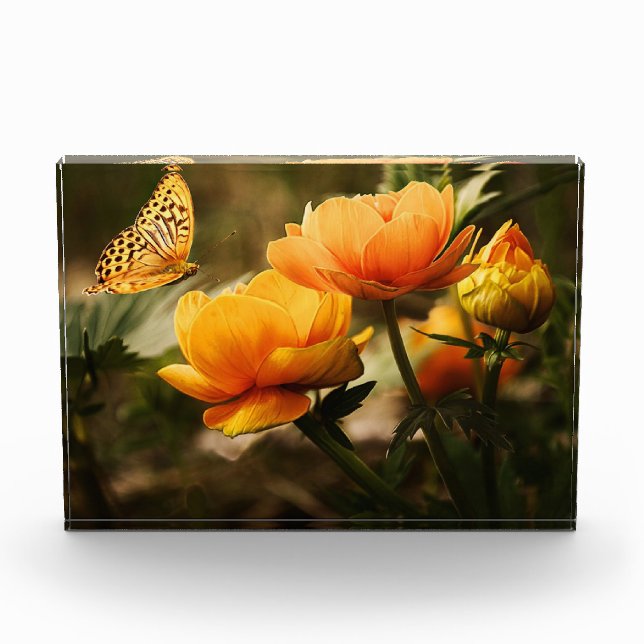 Flowers and Butterfly Photo Block (Front)