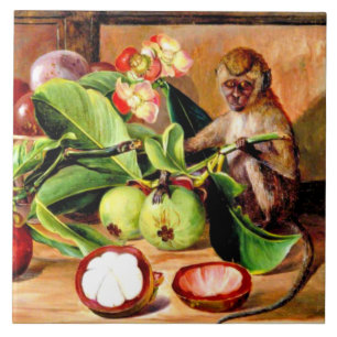 Flowers and fruit of Mangosteen; Singapore Monkey Ceramic Tile