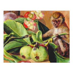 Flowers and fruit of Mangosteen; Singapore Monkey Faux Canvas Print