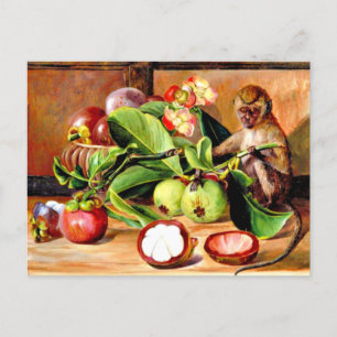 Flowers and fruit of Mangosteen; Singapore Monkey, Postcard