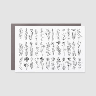 Flowers And Herbs Ink Drawing Car Magnet