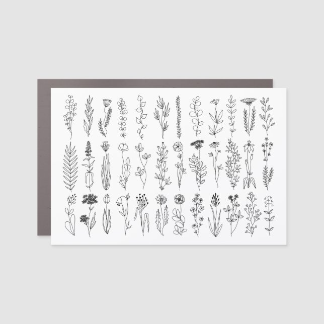 Flowers And Herbs Ink Drawing Car Magnet (Front)