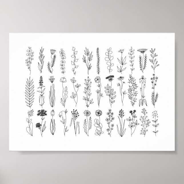 Flowers And Herbs Ink Drawing Poster (Front)