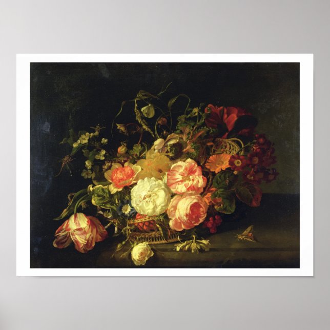 Flowers and Insects, 1711 (oil on panel) Poster (Front)