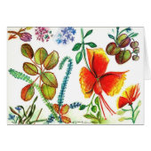 Flowers and Leaves of Florida (Front Horizontal)