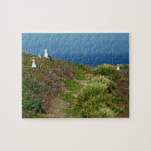 Flowers and Seagulls on Anacapa Island Jigsaw Puzzle