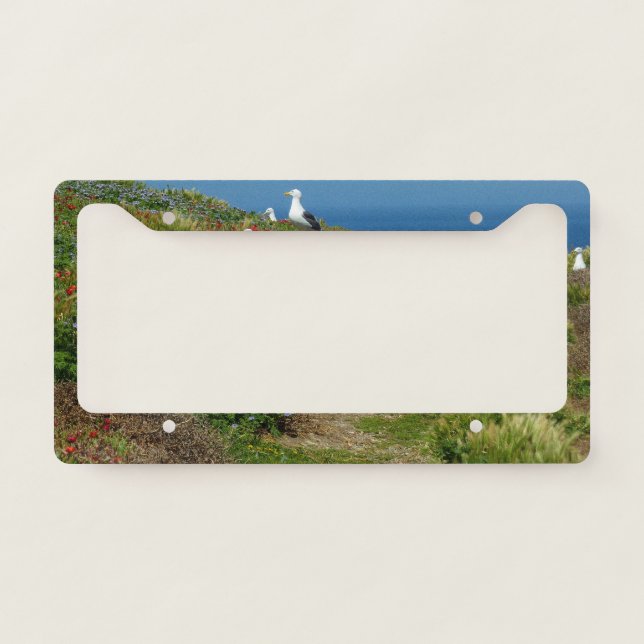 Flowers and Seagulls on Anacapa Island License Plate Frame (Front)