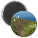 Flowers and Seagulls on Anacapa Island Magnet