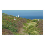 Flowers and Seagulls on Anacapa Island Rectangular Sticker