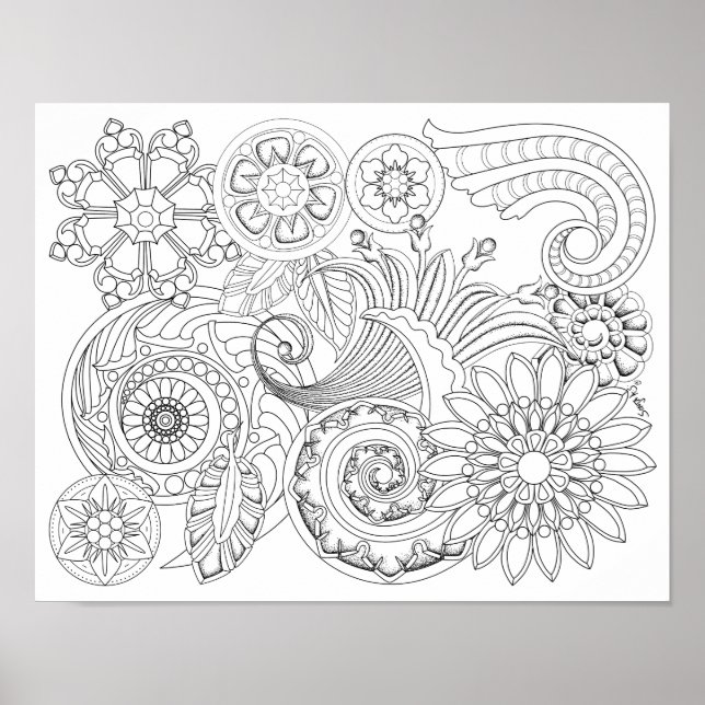 Flowers and Spirals : DIY Coloring Poster (Front)