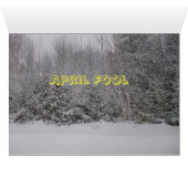 Flowers and trees Lawn Scene Cards (Inside Horizontal (Bottom))