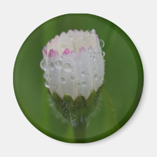 Flowers and water droplets magnet