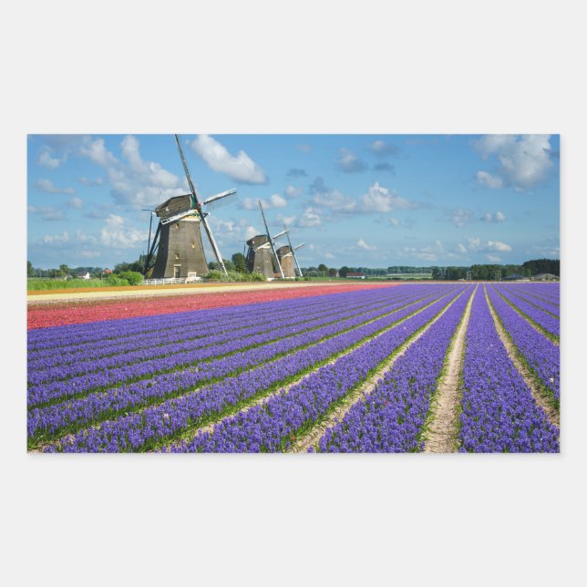 Flowers and windmills rectangular sticker (Front)