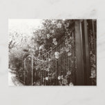 Flowers and Wrought Iron Fence, Tilt-Shift, B&amp;W Postcard