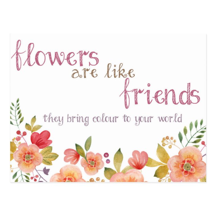 Flowers Are Like Friends Quote Postcard