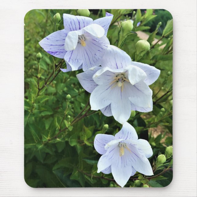 Flowers at Chateau Morrisette Winery, Floyd, VA Mouse Pad (Front)