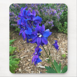 Flowers at Chateau Morrisette Winery, Floyd, VA Mouse Pad