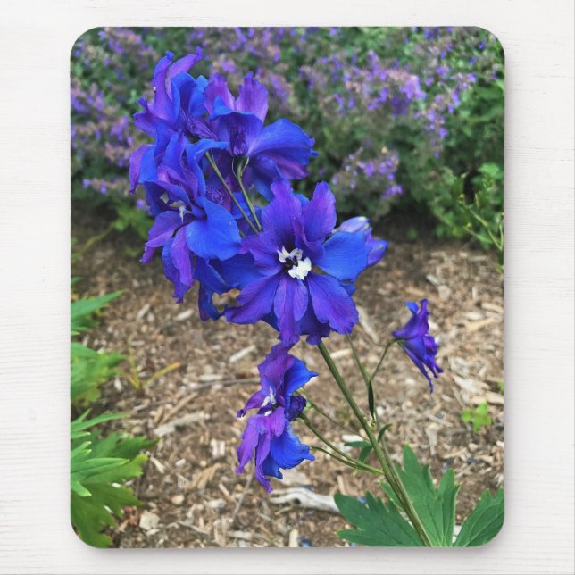 Flowers at Chateau Morrisette Winery, Floyd, VA Mouse Pad (Front)