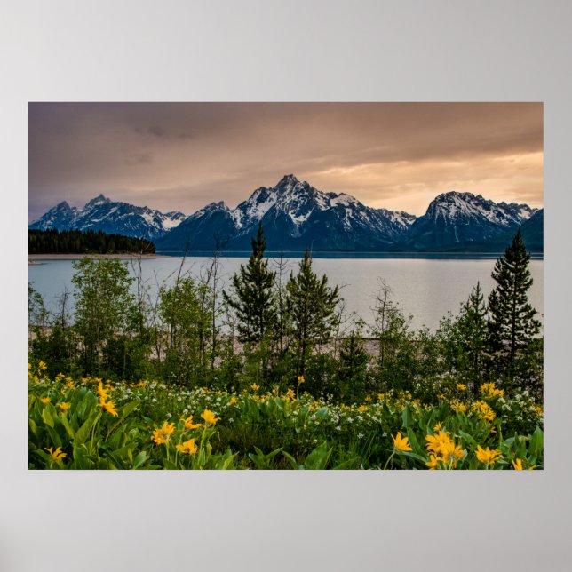 Flowers at Colter Bay Poster (Front)