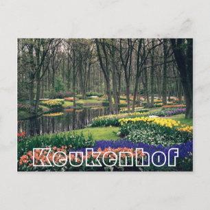 Flowers at  Keukenhof, woodland and canal Postcard