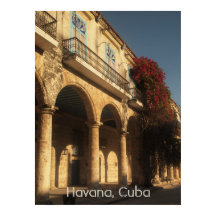 Flowers at Plaza de la Catedral, Havana Poster