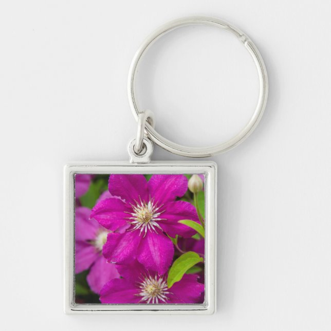 Flowers at Robinette's Apple Haus and Gift Barn 2 Keychain (Front)