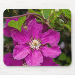 Flowers At Robinette's Apple Haus & Gift Barn Mouse Pad
