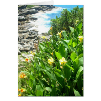 Flowers at Tamarama Cove Cards