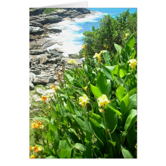 Flowers at Tamarama Cove Cards (Front)