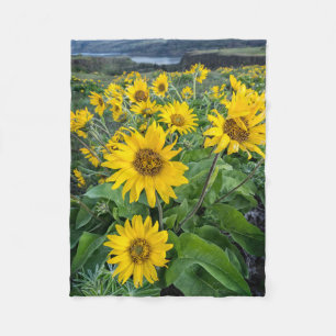 Flowers Balsomroot Columbia River, Oregon Fleece Blanket
