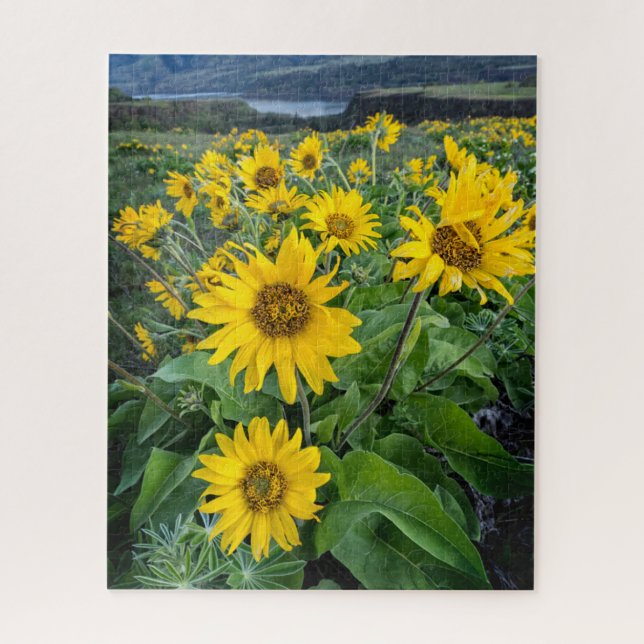 Flowers | Balsomroot Columbia River, Oregon Jigsaw Puzzle (Vertical)