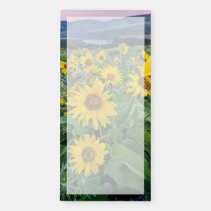 Flowers   Balsomroot Columbia River, Oregon Magnetic Notepad