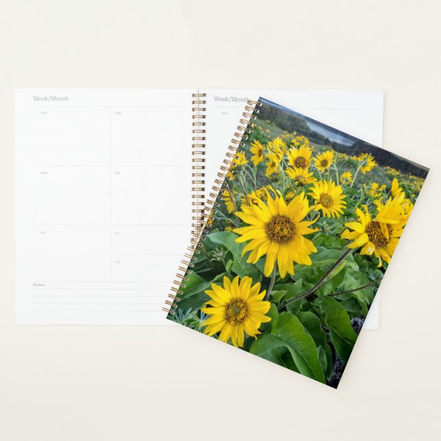 Flowers | Balsomroot Columbia River, Oregon Planner (Display)