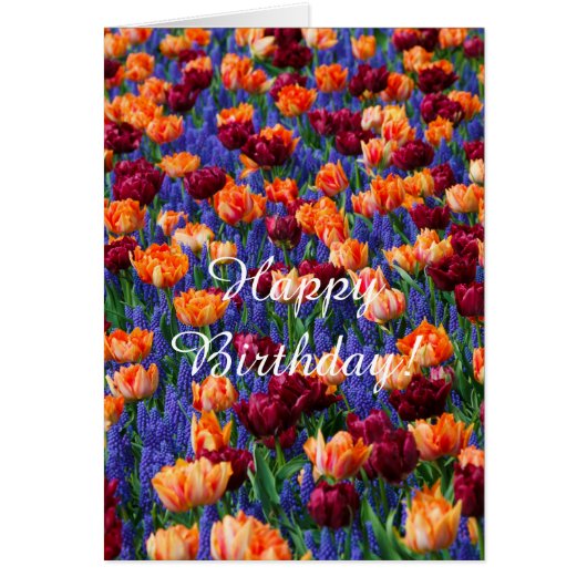 Flowers Bed Bloom Colorful Flora Cards (Front)