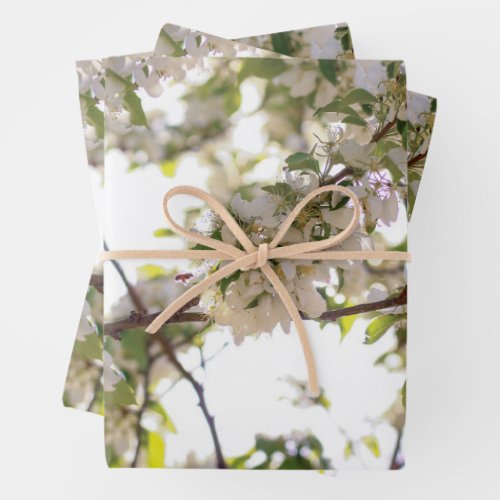 flowers bee wrapping paper sheets