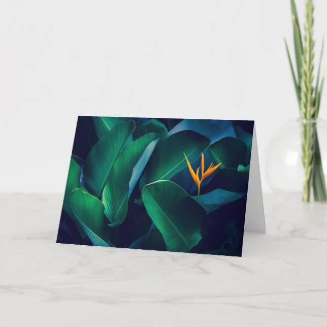 Flowers | Bird of Paradise Card (Front)