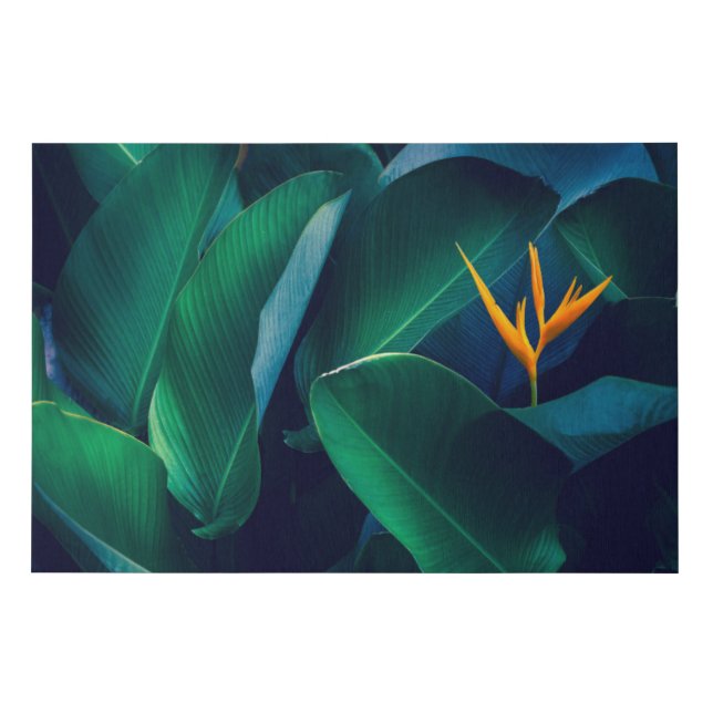 Flowers | Bird of Paradise Faux Canvas Print (Front)