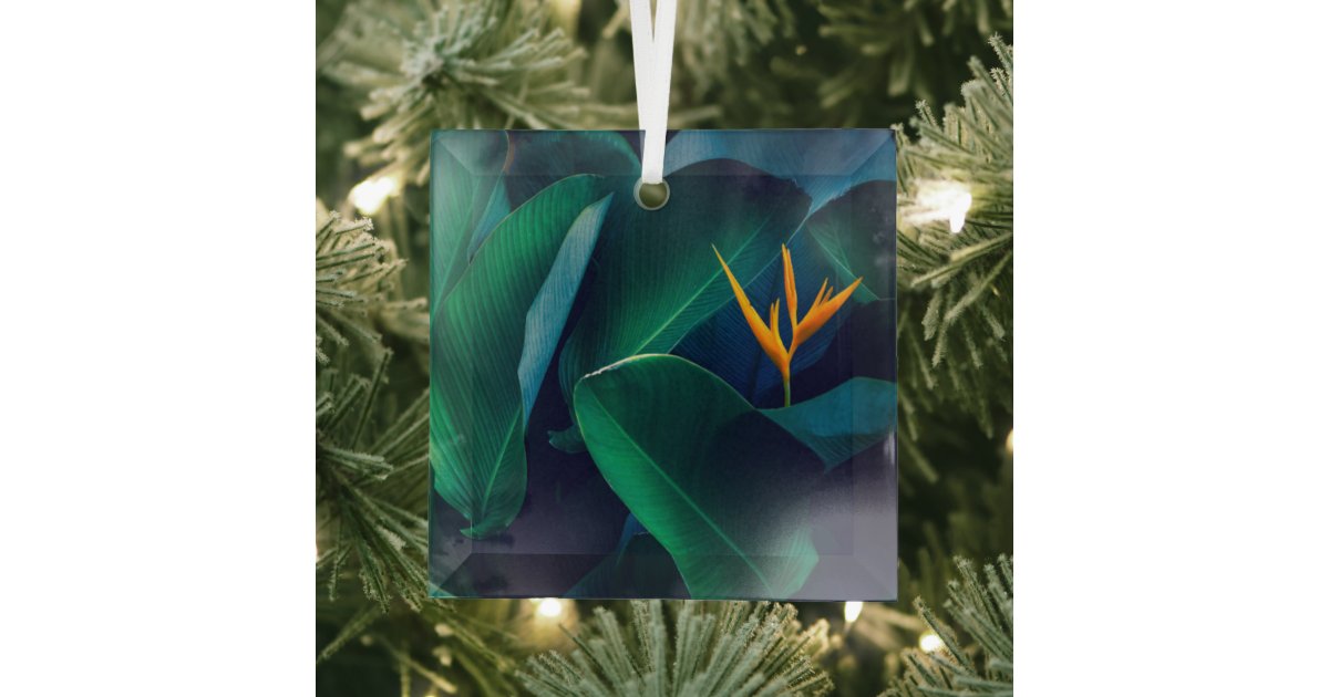 Flowers | Bird of Paradise Glass Ornament | Zazzle