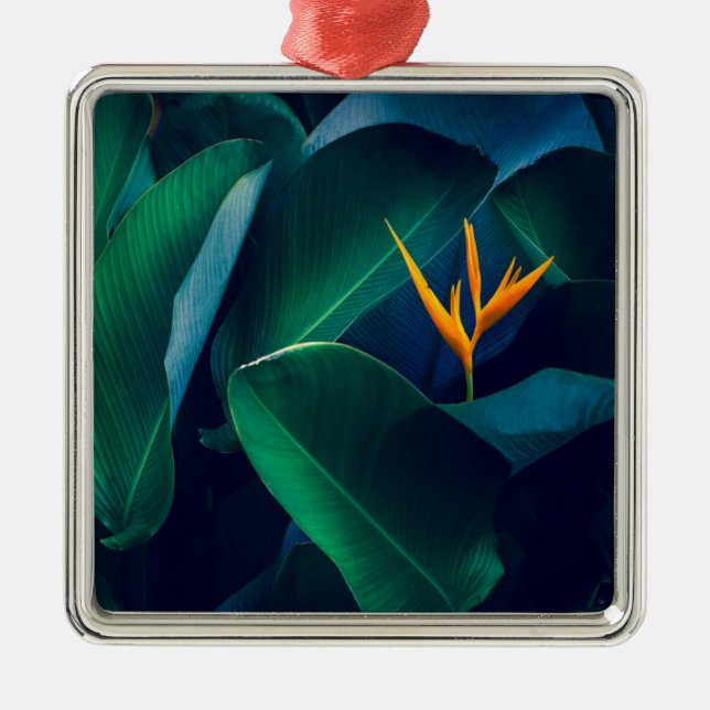 Flowers | Bird of Paradise Metal Ornament (Front)