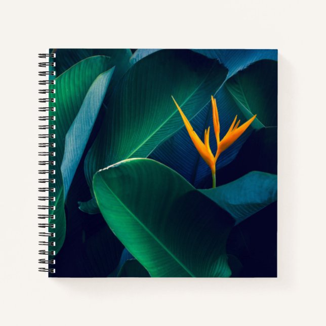 Flowers | Bird of Paradise Notebook (Front)