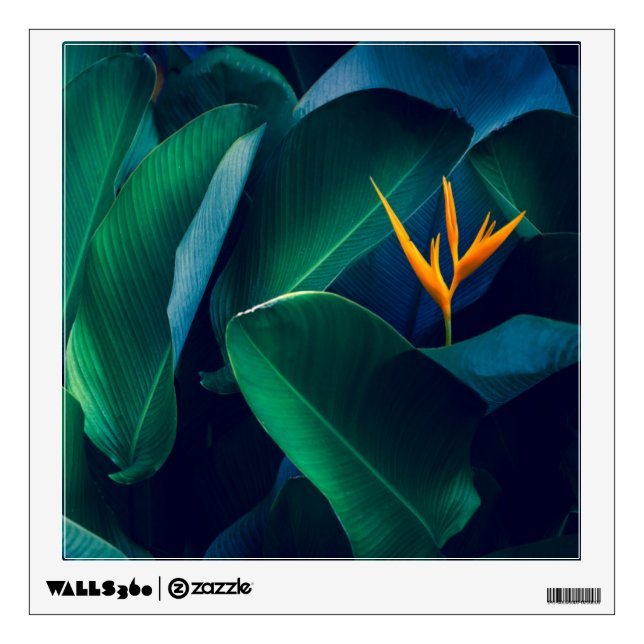 Flowers | Bird of Paradise Wall Decal (Front)