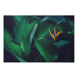 Flowers   Bird of Paradise Wood Wall Art