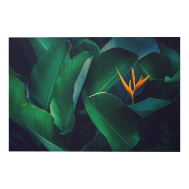 Flowers | Bird of Paradise Wood Wall Art (Front)
