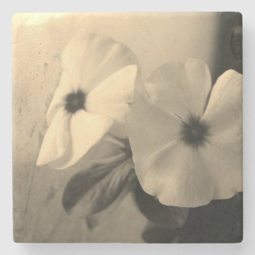 Flowers Black White photo Marble Stone Coaster