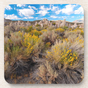 Flowers Blooming Sagebrush California Beverage Coaster