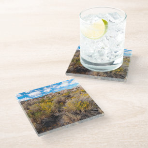 Flowers Blooming Sagebrush California Glass Coaster