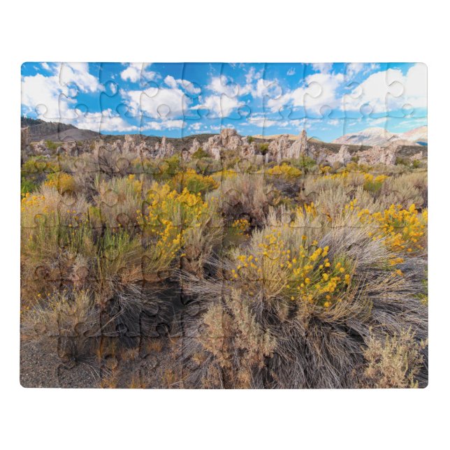 Flowers | Blooming Sagebrush California Jigsaw Puzzle (Puzzle Horizontal)