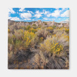 Flowers | Blooming Sagebrush California Magnet