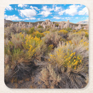 Flowers Blooming Sagebrush California Square Paper Coaster